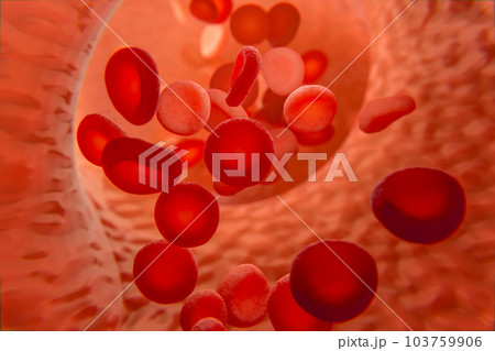 Red blood cells in vein or artery, flow inside inside a living organism. view from endoscope or microscope, prevention and treatment of veins and diseases of circulatory system. 3d rendering Red blood cells in vein or artery, flow inside inside a living organism. view from endoscope or microscope, prevention and treatment of veins and diseases of circulatory system. 3d rendering 103759906