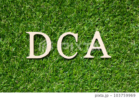 Wood alphabet letter in word DCA (Abbreviation of Dollar-cost averaging) on artificial green grass background 103759969