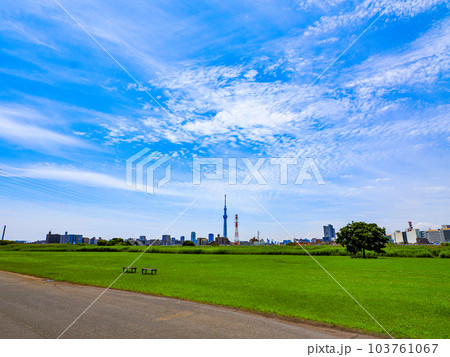 6月梅雨の晴れ間の堀切荒川河川敷 103761067