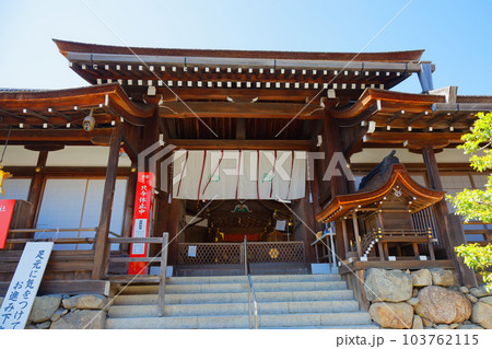 上賀茂神社　中門　本殿　若葉に新緑 103762115