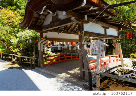 上賀茂神社　片岡橋　若葉に新緑 103762117