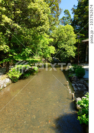 上賀茂神社　ならの小川 103762674