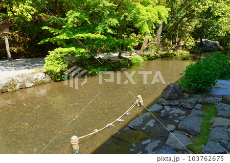 上賀茂神社　ならの小川 103762675