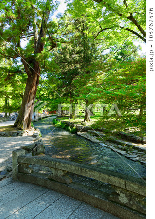 上賀茂神社　ならの小川 103762676