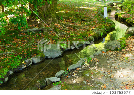 上賀茂神社　渉渓園　若葉に新緑 103762677