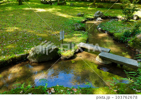 上賀茂神社 渉渓園 若葉に新緑 上賀茂神社 渉渓園 若葉に新緑 103762678