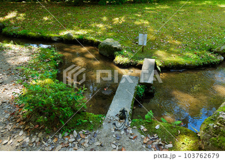 上賀茂神社 渉渓園 若葉に新緑 上賀茂神社 渉渓園 若葉に新緑 103762679