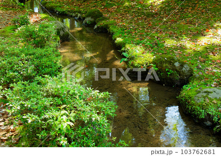 上賀茂神社　渉渓園　若葉に新緑 103762681