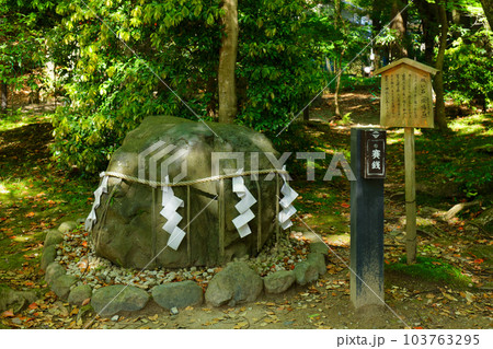上賀茂神社 願い石 渉渓園 若葉に新緑 上賀茂神社 願い石 渉渓園 若葉に新緑 103763295