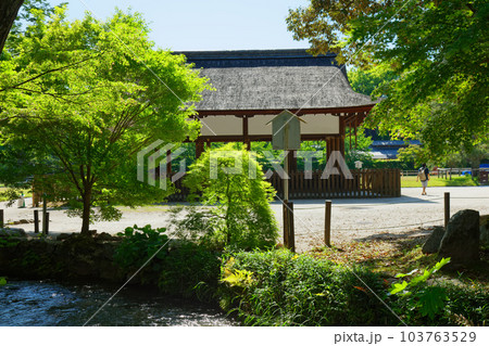 上賀茂神社　馬場殿 103763529