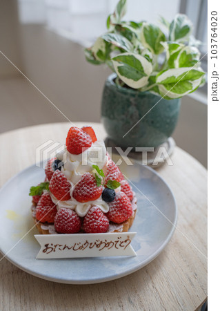誕生日 いちごタルトと観葉植物 誕生日 いちごタルトと観葉植物 103764020