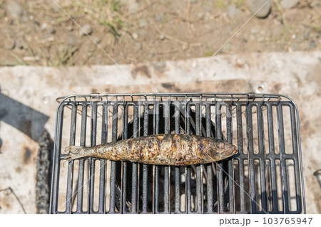 【オートキャンプ場で真鰯の塩焼き】 【オートキャンプ場で真鰯の塩焼き】 103765947