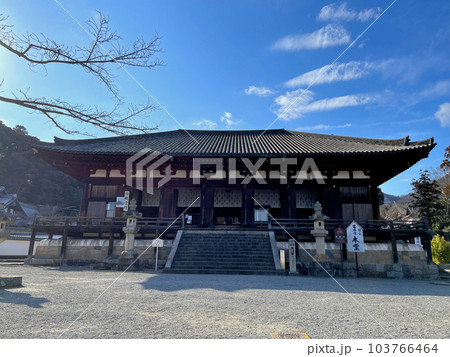 奈良県葛城市の当麻寺本堂 奈良県葛城市の当麻寺本堂 103766464