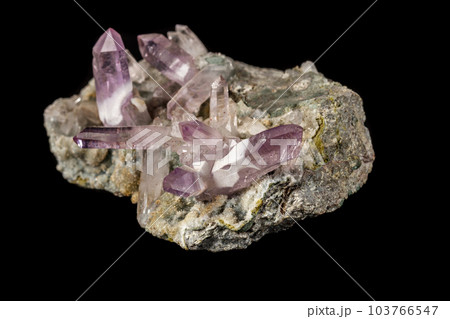 Macro mineral stone Amethyst crystals in rock on a black background Macro mineral stone Amethyst crystals in rock on a black background 103766547