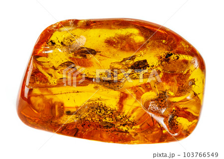 Macro Amber mineral stone with spider on white background Macro Amber mineral stone with spider on white background 103766549