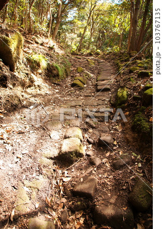 千葉県鋸南町鋸山 車力道 103767135