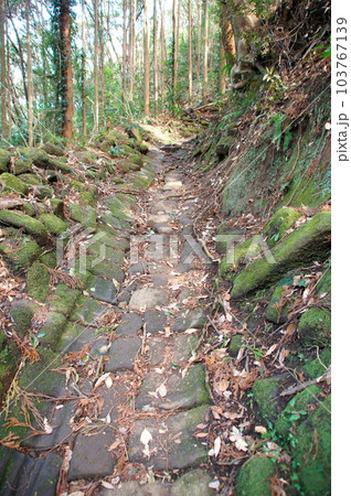 千葉県鋸南町鋸山 車力道 103767139
