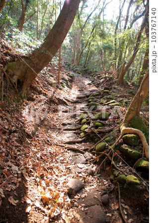 千葉県鋸南町鋸山 車力道 103767140