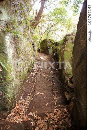 千葉県鋸南町鋸山 車力道 103767142