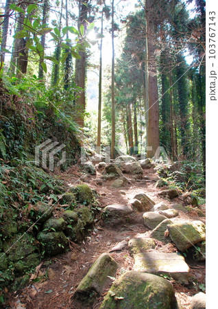 千葉県鋸南町鋸山 車力道 103767143
