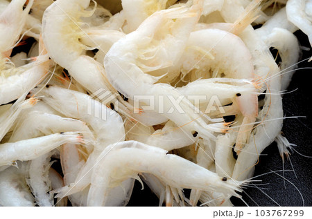 白エビ 103767299