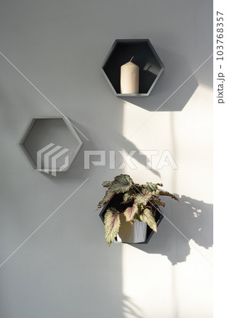 Shelves on the wall in the form of honeycombs with house plants in the white interior of the house. Modern decor Houseplant caring for indoor plant, green home 103768357