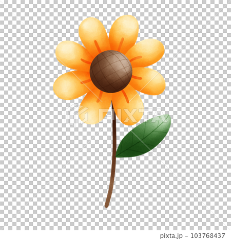 sunflower, flower, blossom 103768437