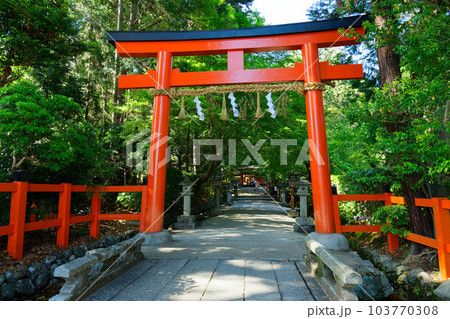 摂社 大田神社 鳥居 摂社 大田神社 鳥居 103770308