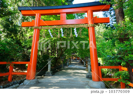 摂社　大田神社　鳥居 103770309