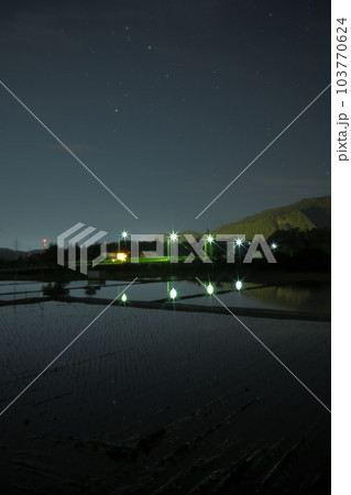 北杜市武川町、舞鶴橋の上で赤く輝くアンタレスと星空映す水田 103770624