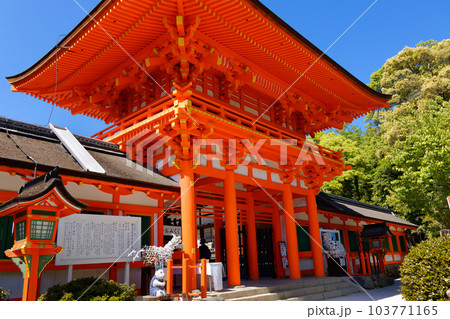 上賀茂神社　桜門　若葉に新緑 103771165