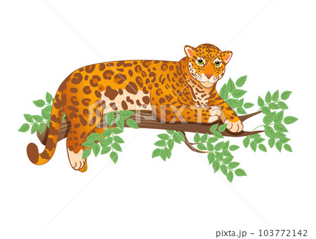 Vector illustration of a leopard or jaguar lying on a tree in a cartoon style Vector illustration of a leopard or jaguar lying on a tree in a cartoon style 103772142