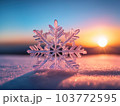 Snowflake Winter Concept 103772595