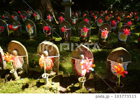 金剛輪寺 金剛輪寺 103773515