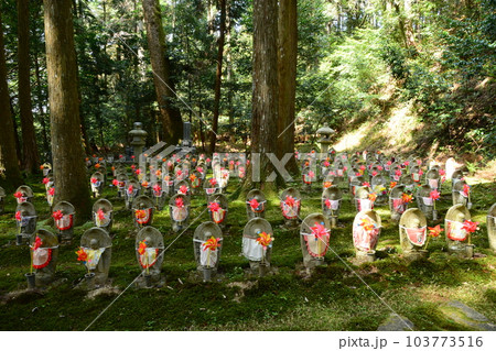 金剛輪寺 金剛輪寺 103773516