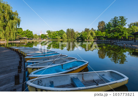 Scenery of Tokiwa Park in Asahikawa city, Hokkaido, Japan 103773821