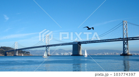 Sail Boats Travels Under Bay Bridge as a bird quickly flies by Sail Boats Travels Under Bay Bridge as a bird quickly flies by 103774397