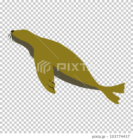 アシカのフラットベクターイラスト 103774437