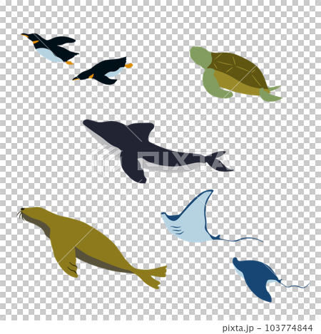 生活在水族館裡的生物插圖集 生活在水族館裡的生物插圖集 103774844