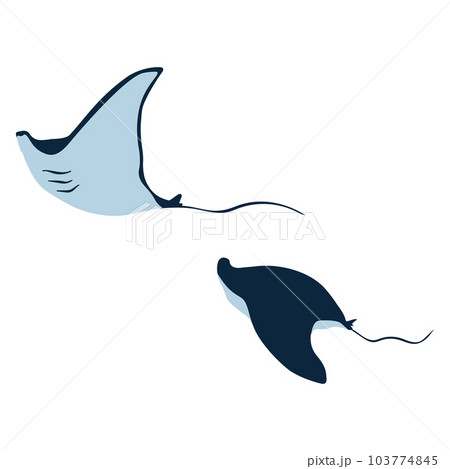 Flat vector illustration of manta ray - Stock Illustration