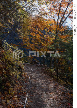 奥秩父の紅葉と登山道 奥秩父の紅葉と登山道 103774936