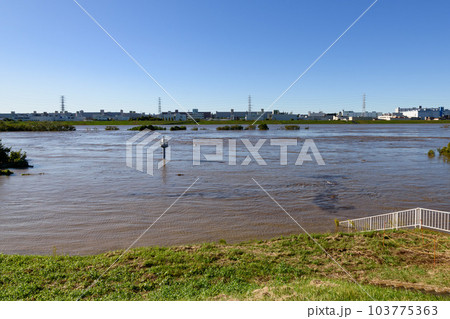 令和元年東日本台風・氾濫寸前、濁流の荒川 103775363