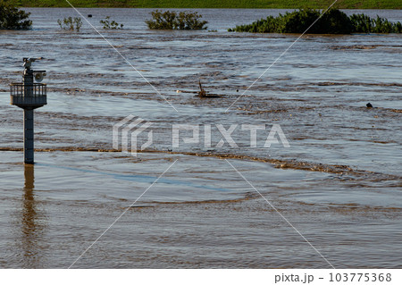 令和元年東日本台風・氾濫寸前、濁流の荒川 103775368