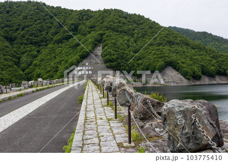 奈良俣ダムの堤体　群馬県 103775410