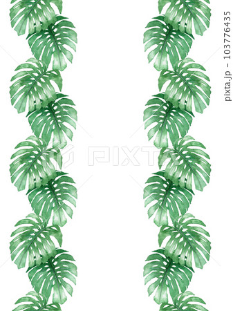 アナログ水彩観葉植物モンステラの葉のライン素材 103776435