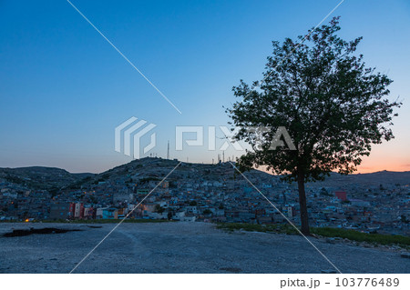 トルコ　シャンルウルファの丘に立つ1本の木と夕暮れ時の旧市街の街並み 103776489