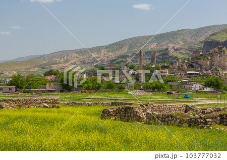 トルコ 水没前のハサンケイフのエル・ルズク・ジャーミーとアルトゥクル・ハマム トルコ 水没前のハサンケイフのエル・ルズク・ジャーミーとアルトゥクル・ハマム 103777032