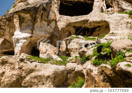 トルコ　水没前のハサンケイフのハサンケイフ城と洞窟住居 103777089