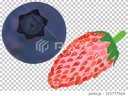 “藍莓果實”和“野草莓果實” 103777569