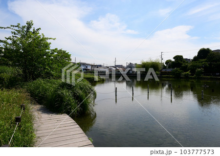 小池公園　東京都大田区 103777573